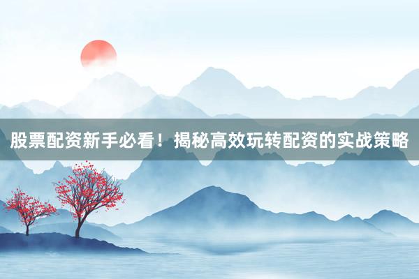 股票配资新手必看！揭秘高效玩转配资的实战策略